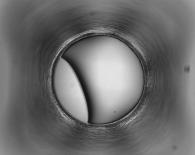 X0000101100837200806261042