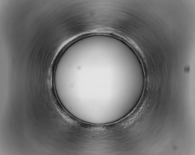 X0000101100838200806261042