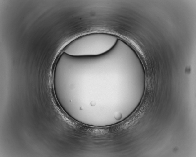 X0000101100839200806261042