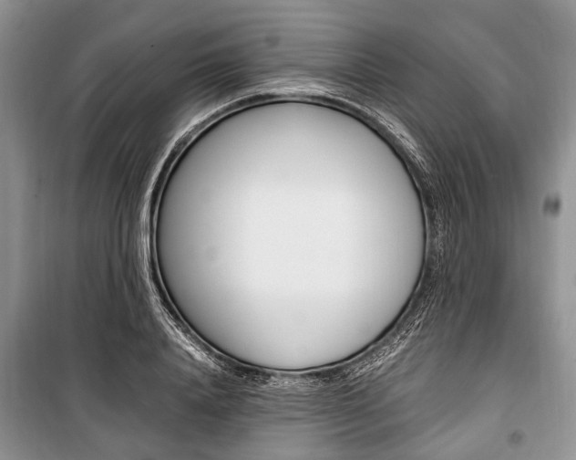 X0000101100840200806261042