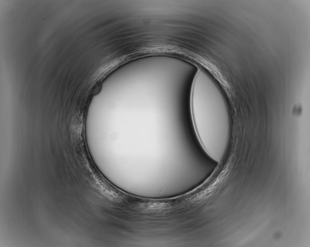X0000101100841200806261042