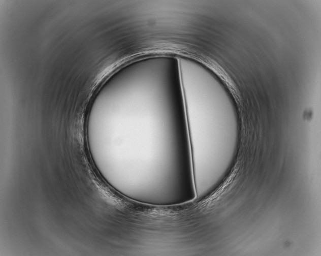 X0000101100842200806261042