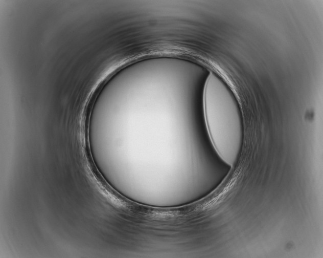 X0000101100843200806261042