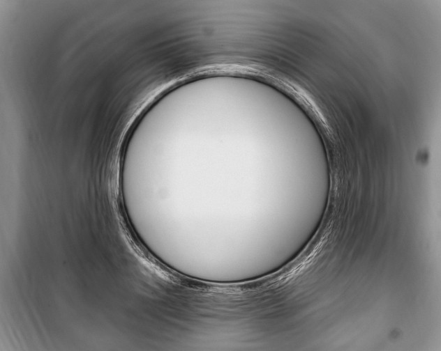 X0000101100844200806261042
