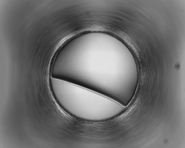 X0000101100845200806261042
