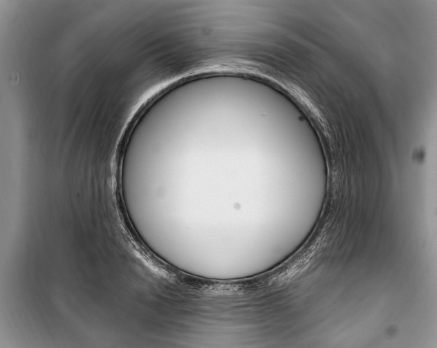 X0000101100846200806261042