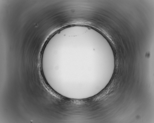 X0000101100848200806261042