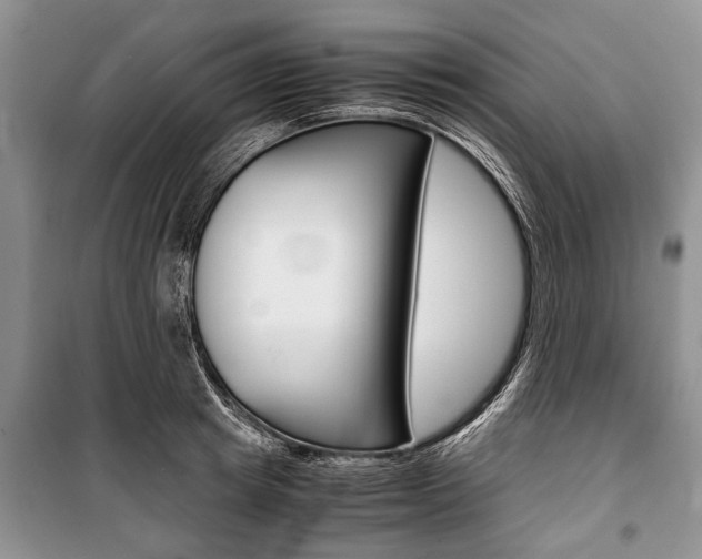 X0000101100849200806261042