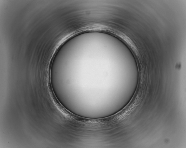 X0000101100850200806261042