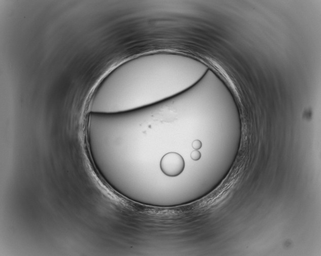 X0000101100851200806261042