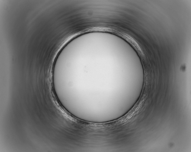X0000101100852200806261042