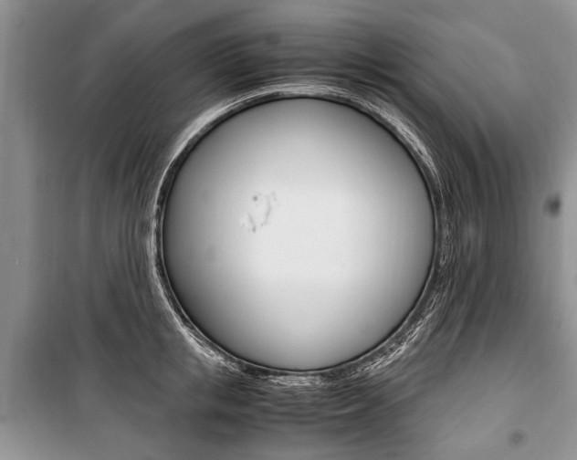X0000101100853200806261042