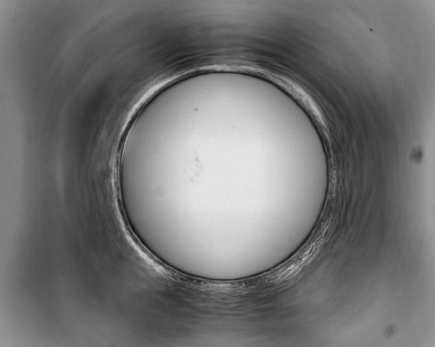X0000101100855200806261042