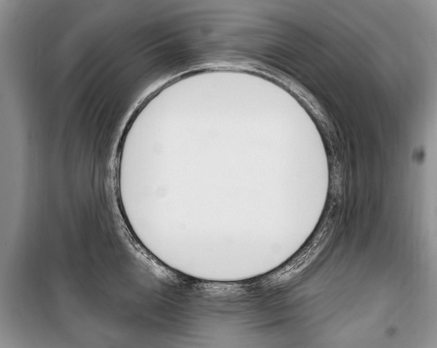 X0000101100856200806261042