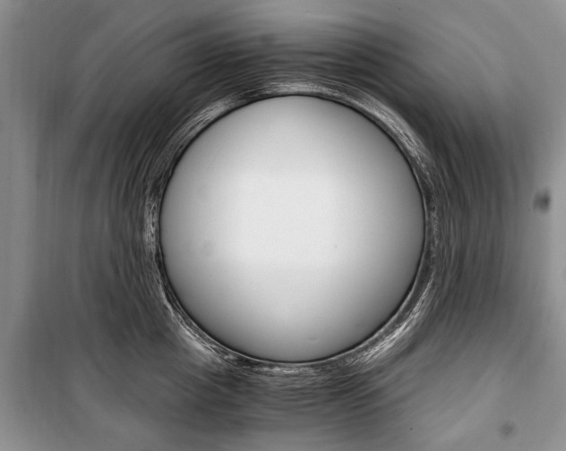 X0000101100857200806261042