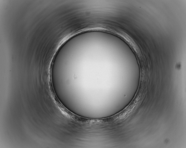 X0000101100858200806261042