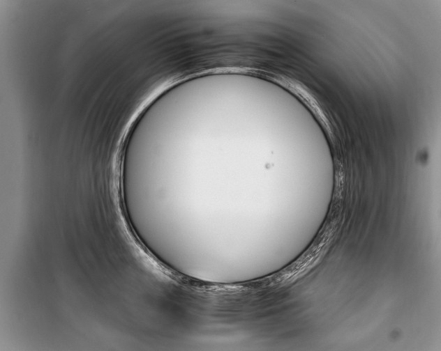 X0000101100859200806261042