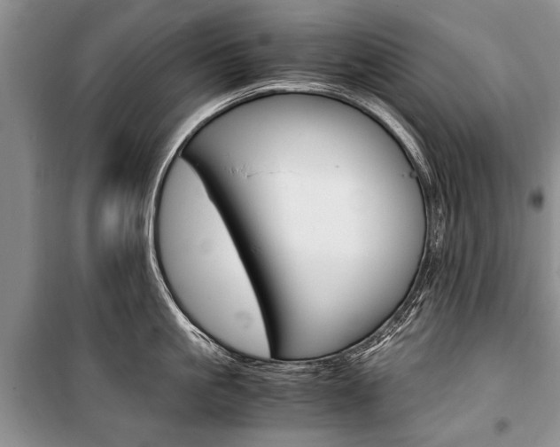 X0000101100861200806261042