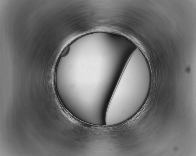 X0000101100862200806261042