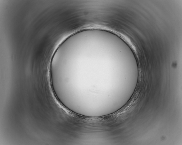 X0000101100863200806261043