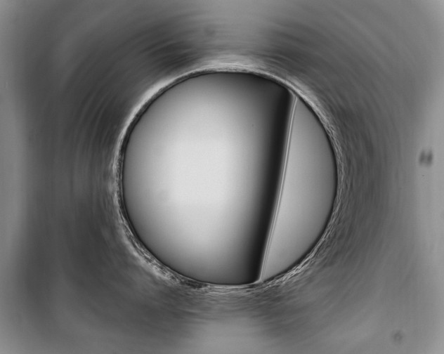 X0000101100864200806261043