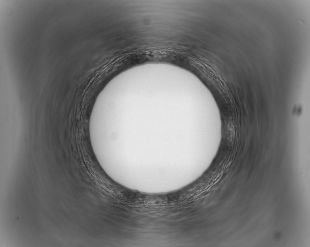 X0000101100865200806261042
