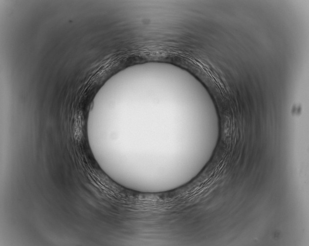 X0000101100866200806261042