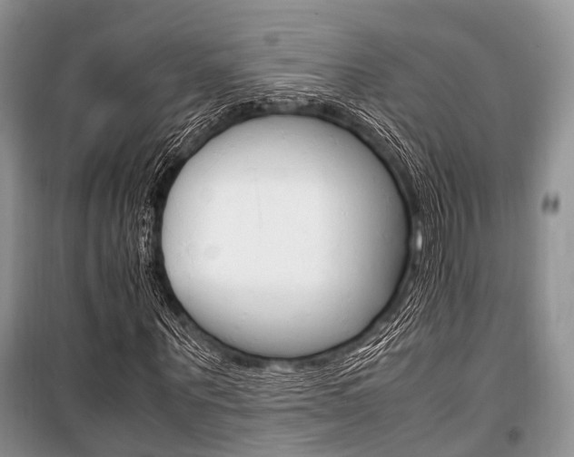 X0000101100867200806261042