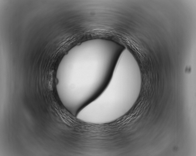 X0000101100868200806261042