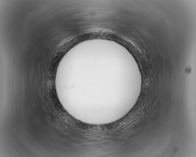 X0000101100869200806261042