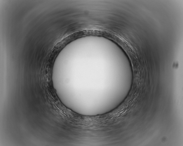 X0000101100870200806261042