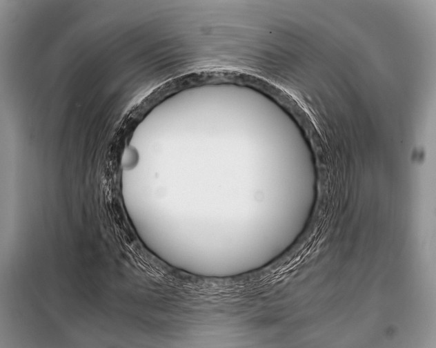 X0000101100871200806261042