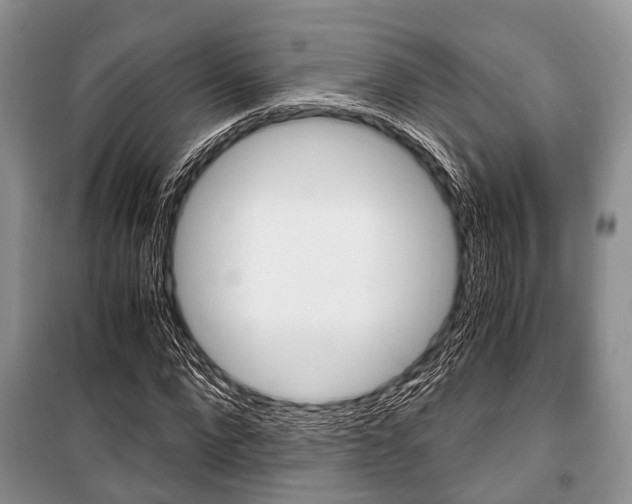 X0000101100872200806261042