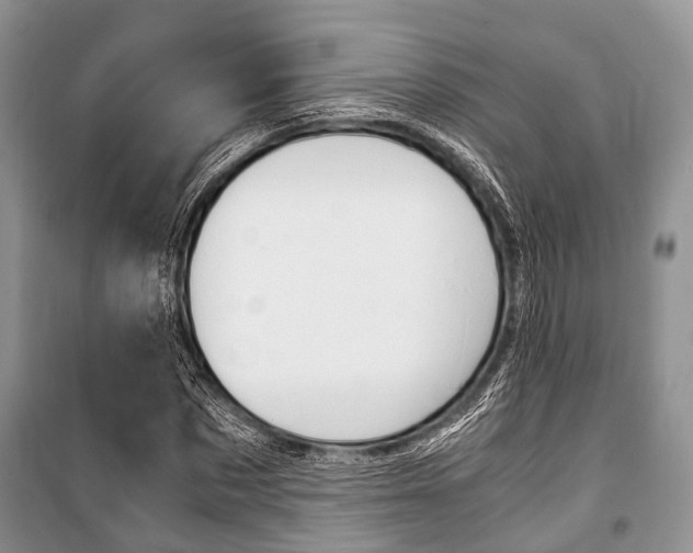 X0000101100873200806261042