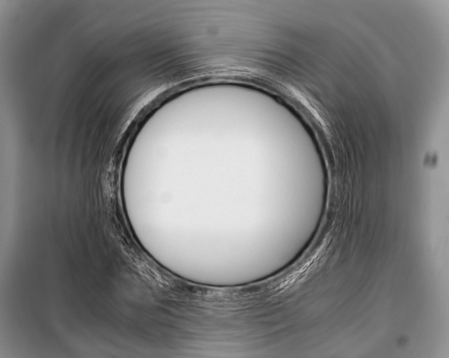 X0000101100875200806261042