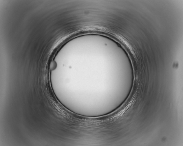 X0000101100877200806261042