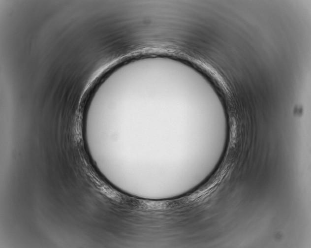 X0000101100878200806261041