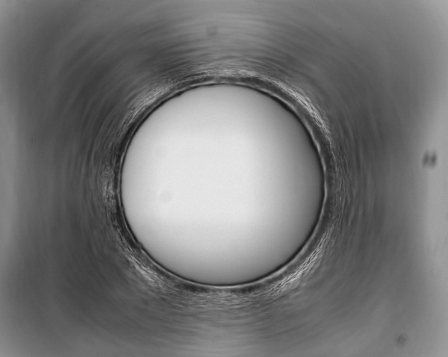 X0000101100881200806261041