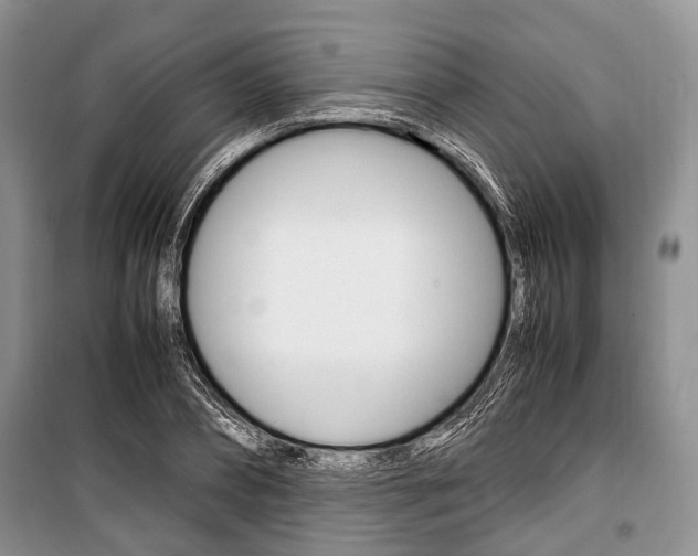X0000101100882200806261041