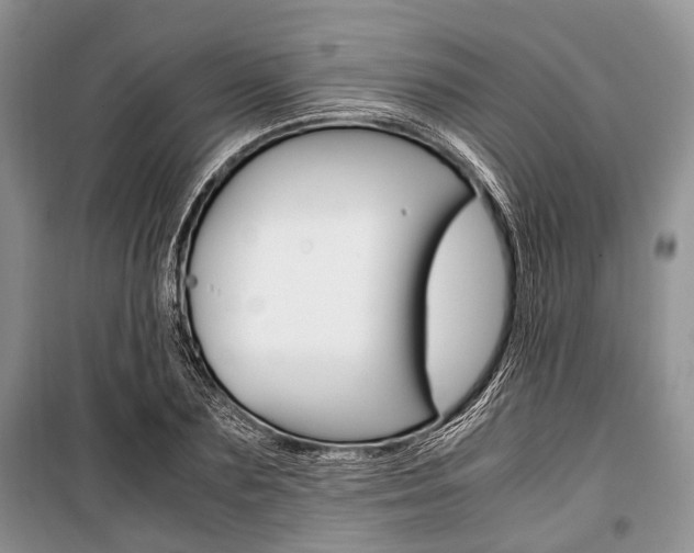 X0000101100883200806261041
