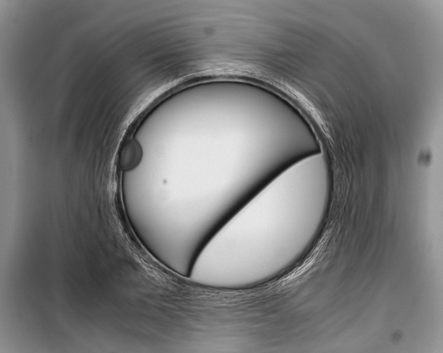 X0000101100885200806261041