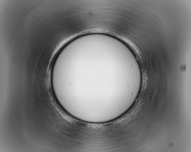 X0000101100886200806261041
