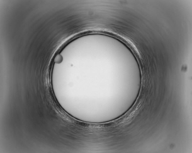 X0000101100887200806261041