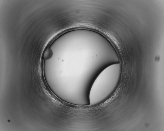 X0000101100888200806261041