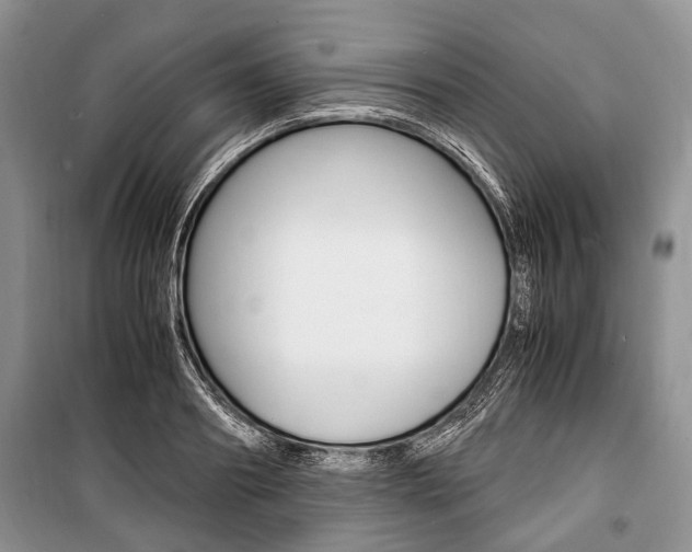 X0000101100890200806261041