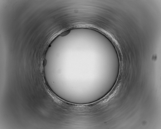 X0000101100897200806261041