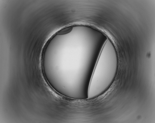 X0000101100902200806261041