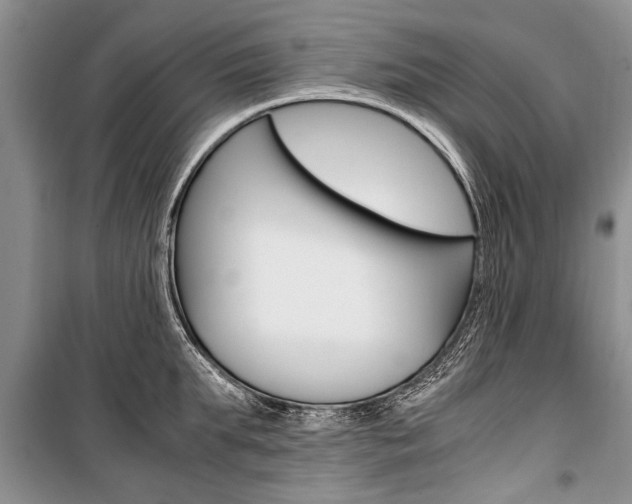 X0000101100903200806261041