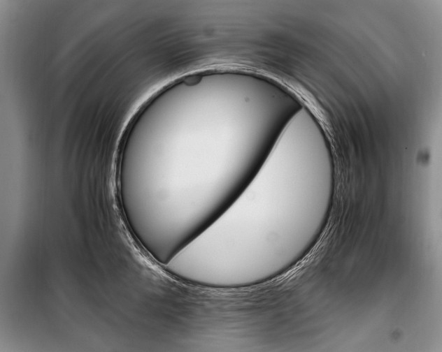 X0000101100904200806261041