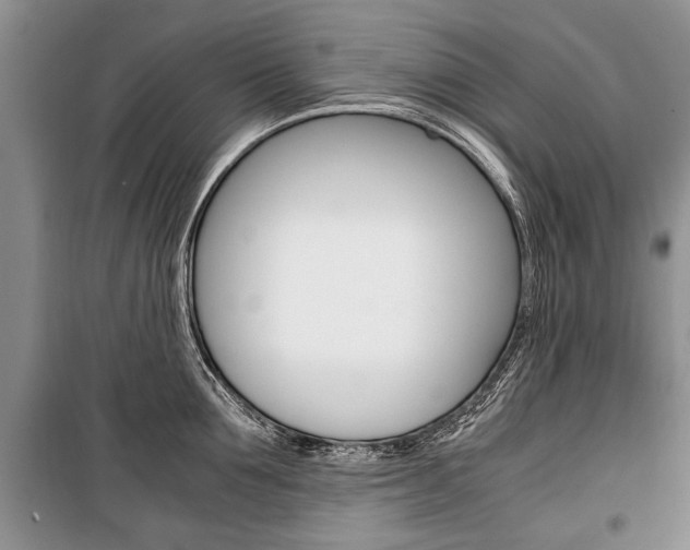 X0000101100907200806261041
